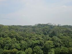 Blk 484D Choa Chu Kang Avenue 5 (Choa Chu Kang), HDB 4 Rooms #552494131